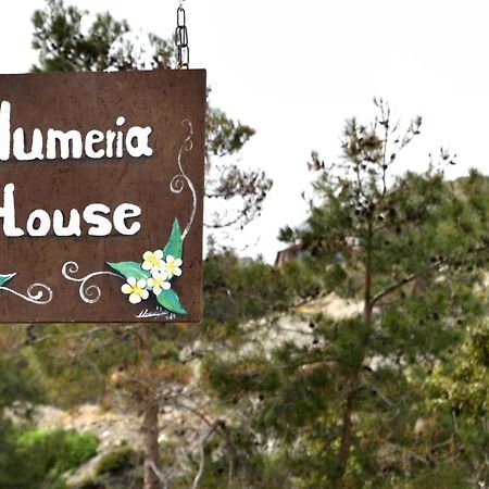 Plumeria House أرخانجلوس المظهر الخارجي الصورة