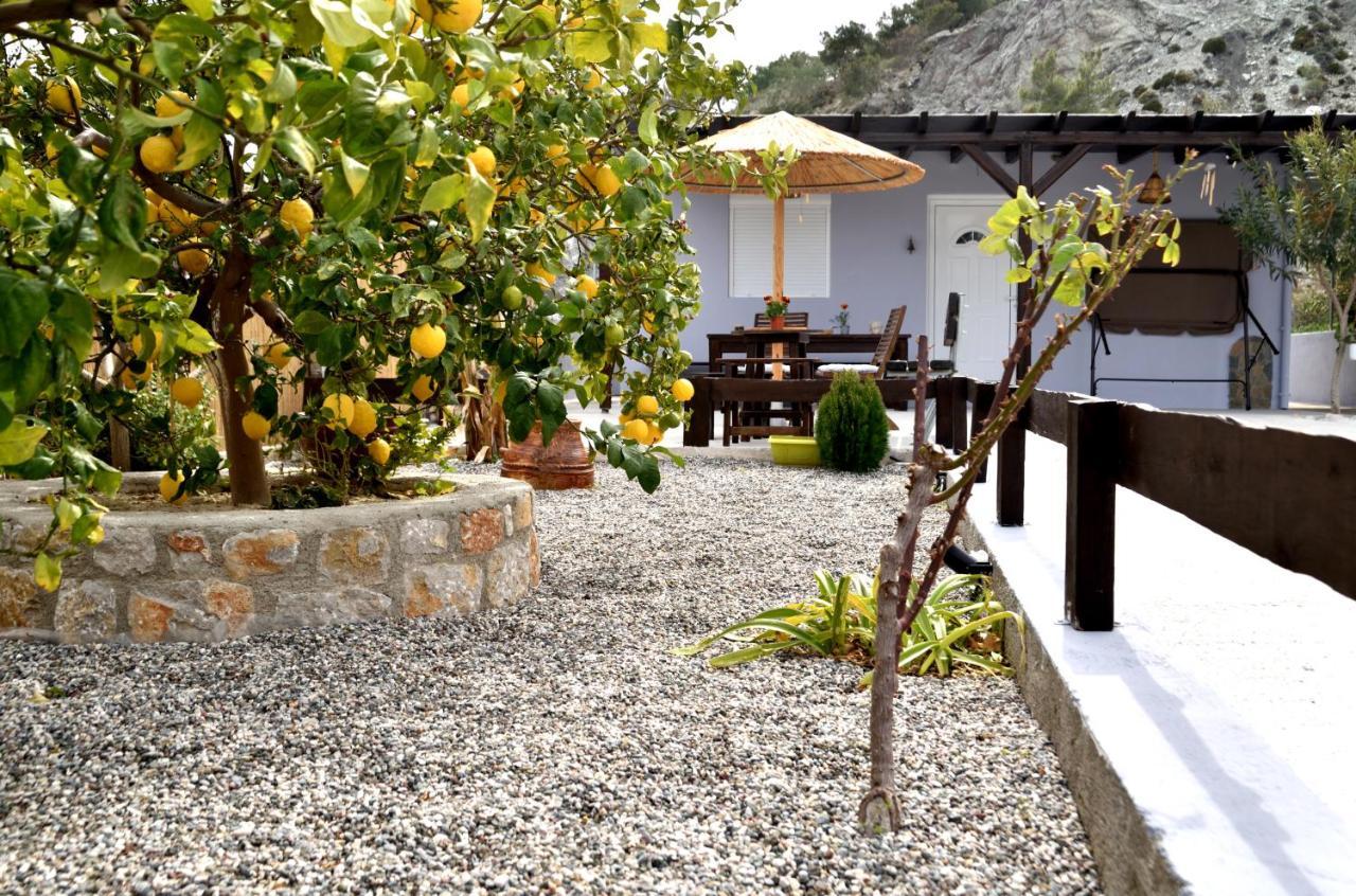 Plumeria House أرخانجلوس المظهر الخارجي الصورة