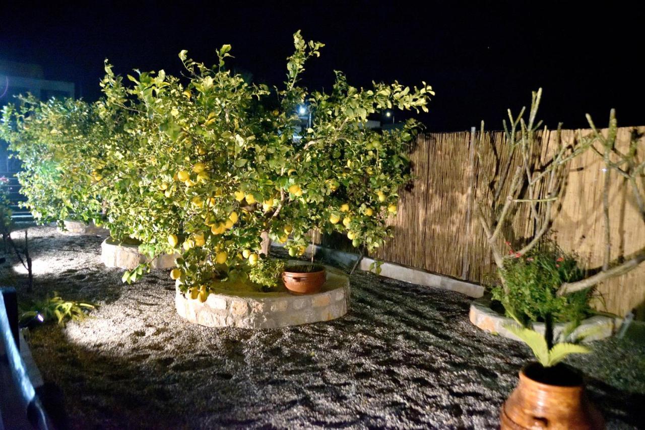 Plumeria House أرخانجلوس المظهر الخارجي الصورة